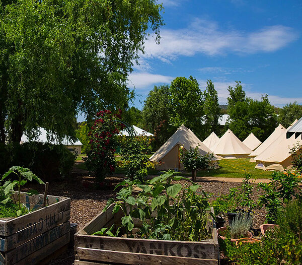 Flowerdale Estate - Country Conference