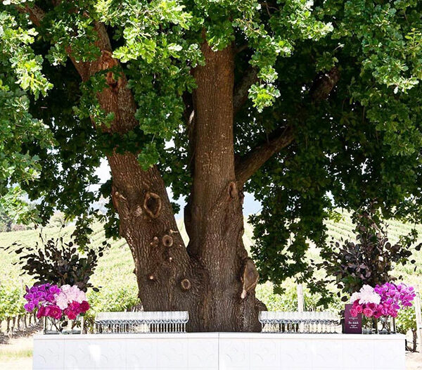 Ezard At Levantine Hill