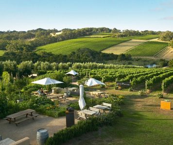 Montalto