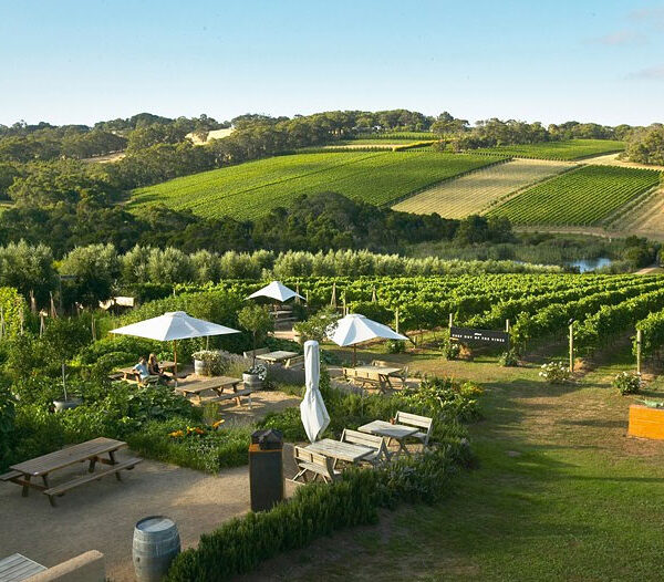 Montalto