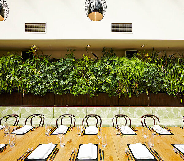 The Botanical
