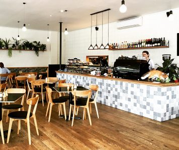 Ginger Fox – Bayside Birthday Party Venue