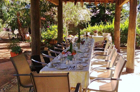 Bentwood Olive Grove