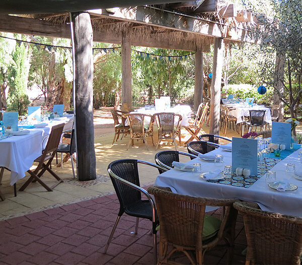 Bentwood Olive Grove