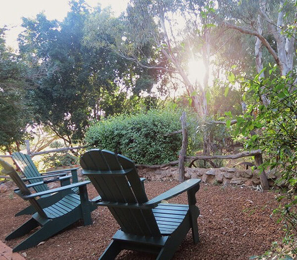Bentwood Olive Grove