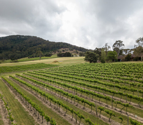 Coolangatta Estate - Winery Weddings & Functions
