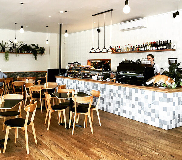 Ginger Fox - Bayside Birthday Party Venue